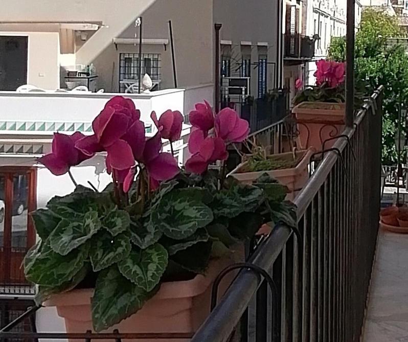 Calimero Luxury Suite Palermo Exterior foto